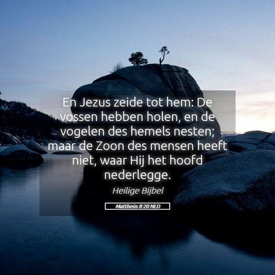 Picture 05 - Mattheüs 8:20 NLD - En Jezus zeide tot hem: De vossen hebben holen, - Bible Verse Picture