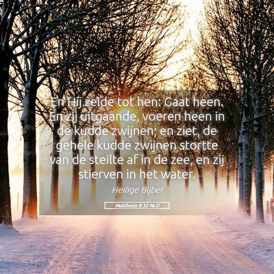 Picture 05 - Mattheüs 8:32 NLD - En Hij zeide tot hen: Gaat heen. En zij - Bible Verse Picture