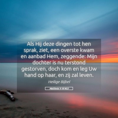 Picture 05 - Mattheüs 9:18 NLD - Als Hij deze dingen tot hen sprak, ziet, een - Bible Verse Picture