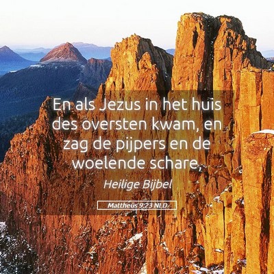 Picture 05 - Mattheüs 9:23 NLD - En als Jezus in het huis des oversten kwam, en - Bible Verse Picture