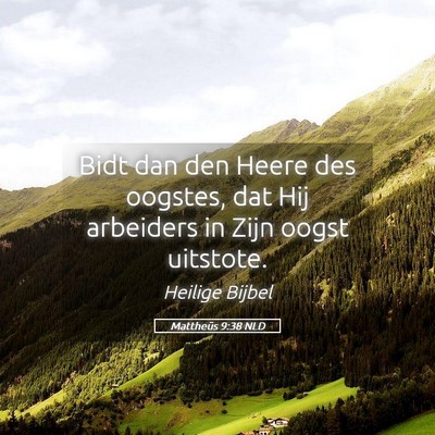 Picture 05 - Mattheüs 9:38 NLD - Bidt dan den Heere des oogstes, dat Hij arbeiders - Bible Verse Picture