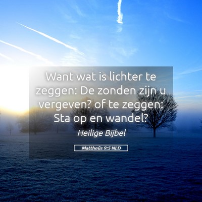 Picture 05 - Mattheüs 9:5 NLD - Want wat is lichter te zeggen: De zonden zijn u - Bible Verse Picture