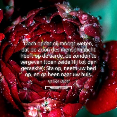 Picture 05 - Mattheüs 9:6 NLD - Doch opdat gij moogt weten, dat de Zoon des - Bible Verse Picture