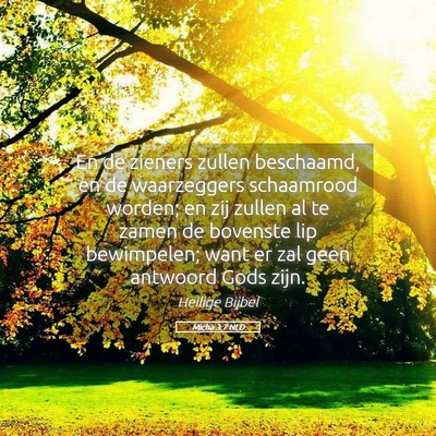 Picture 05 - Micha 3:7 NLD - En de zieners zullen beschaamd, en de waarzeggers - Bible Verse Picture