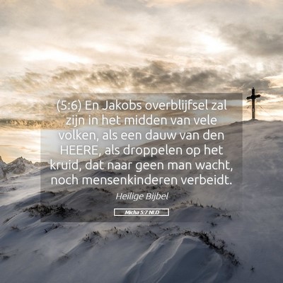 Picture 05 - Micha 5:7 NLD - (5:6) En Jakobs overblijfsel zal zijn in het - Bible Verse Picture