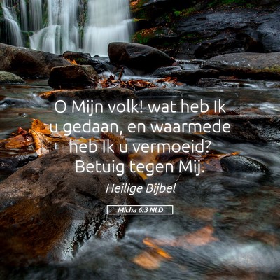 Picture 05 - Micha 6:3 NLD - O Mijn volk! wat heb Ik u gedaan, en waarmede heb - Bible Verse Picture