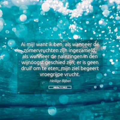 Picture 05 - Micha 7:1 NLD - Ai mij! want ik ben, als wanneer de zomervruchten - Bible Verse Picture
