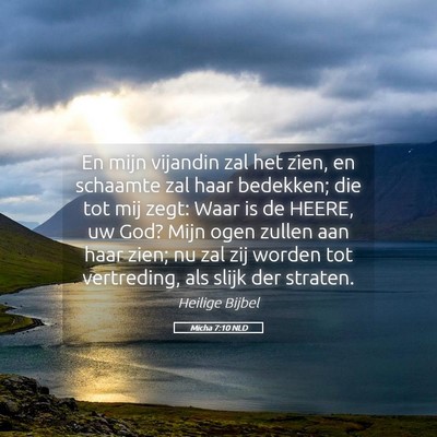Picture 05 - Micha 7:10 NLD - En mijn vijandin zal het zien, en schaamte zal - Bible Verse Picture