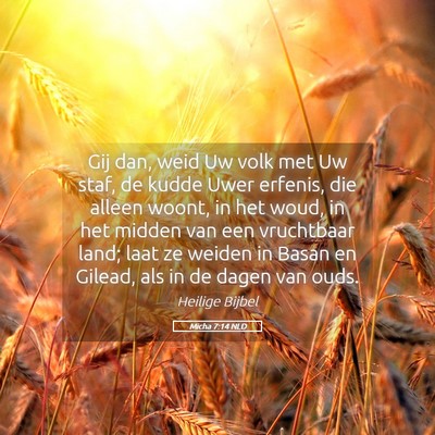 Picture 05 - Micha 7:14 NLD - Gij dan, weid Uw volk met Uw staf, de kudde Uwer - Bible Verse Picture
