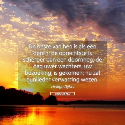 Picture 05 - Micha 7:4 NLD - De beste van hen is als een doorn; de oprechtste - Bible Verse Picture