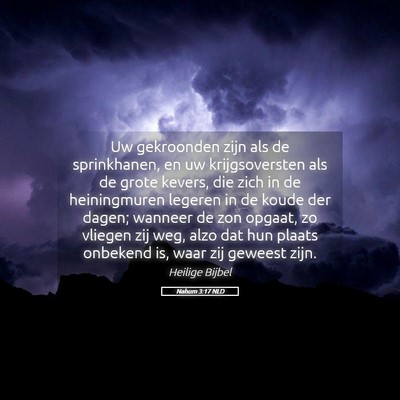 Picture 05 - Nahum 3:17 NLD - Uw gekroonden zijn als de sprinkhanen, en uw - Bible Verse Picture