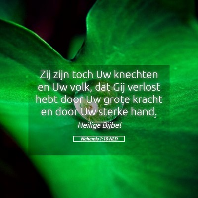 Picture 05 - Nehemia 1:10 NLD - Zij zijn toch Uw knechten en Uw volk, dat Gij - Bible Verse Picture