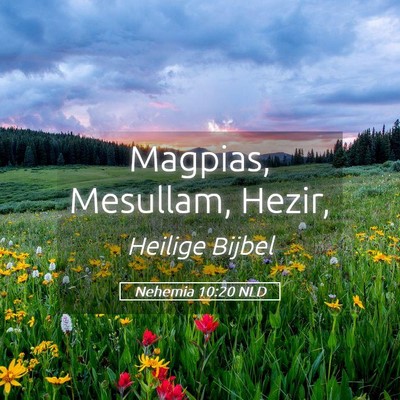 Picture 05 - Nehemia 10:20 NLD - Magpias, Mesullam, - Bible Verse Picture
