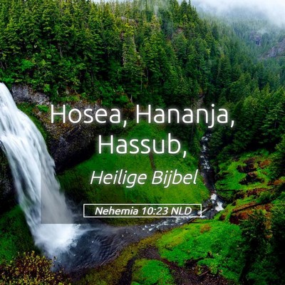 Picture 05 - Nehemia 10:23 NLD - Hosea, Hananja, - Bible Verse Picture