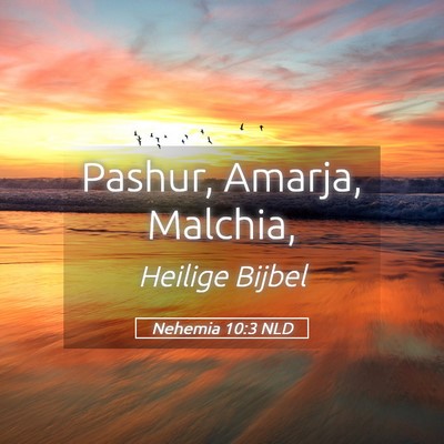 Picture 05 - Nehemia 10:3 NLD - Pashur, Amarja, - Bible Verse Picture