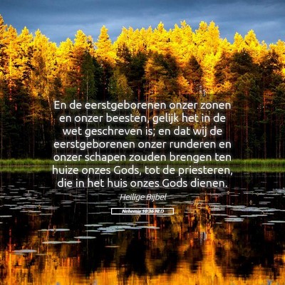 Picture 05 - Nehemia 10:36 NLD - En de eerstgeborenen onzer zonen en onzer - Bible Verse Picture