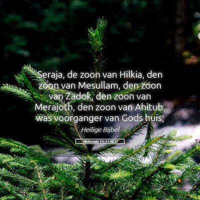 Picture 05 - Nehemia 11:11 NLD - Seraja, de zoon van Hilkia, den zoon van - Bible Verse Picture