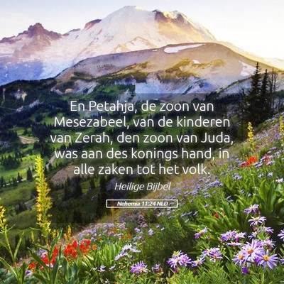 Picture 05 - Nehemia 11:24 NLD - En Petahja, de zoon van Mesezabeel, van de - Bible Verse Picture