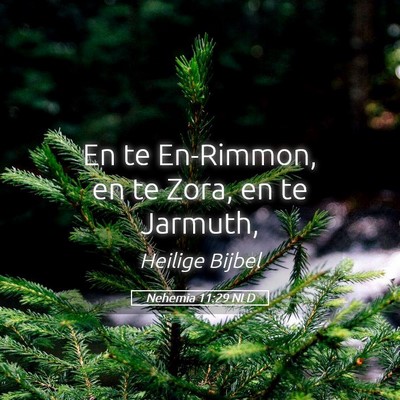 Picture 05 - Nehemia 11:29 NLD - En te En-Rimmon, en te Zora, en te - Bible Verse Picture