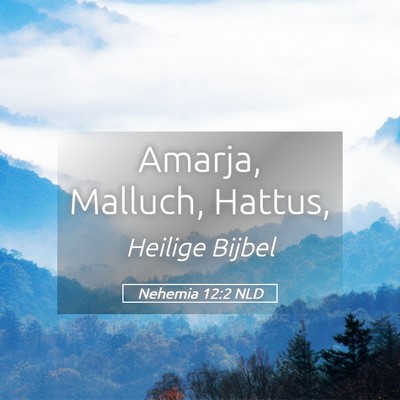 Picture 05 - Nehemia 12:2 NLD - Amarja, Malluch, - Bible Verse Picture