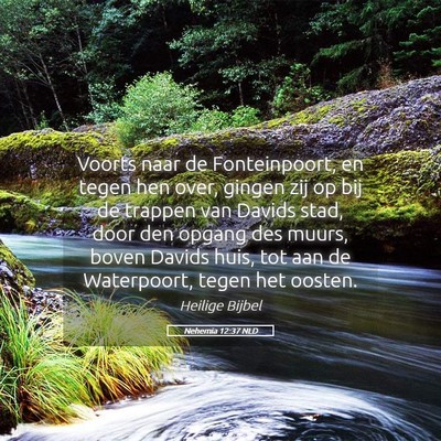 Picture 05 - Nehemia 12:37 NLD - Voorts naar de Fonteinpoort, en tegen hen over, - Bible Verse Picture