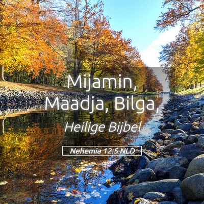 Picture 05 - Nehemia 12:5 NLD - Mijamin, Maadja, - Bible Verse Picture