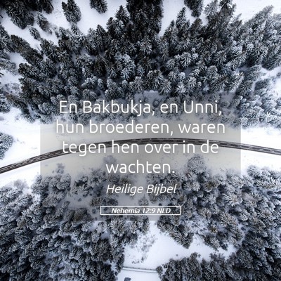 Picture 05 - Nehemia 12:9 NLD - En Bakbukja, en Unni, hun broederen, waren tegen - Bible Verse Picture