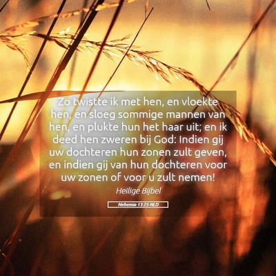 Picture 05 - Nehemia 13:25 NLD - Zo twistte ik met hen, en vloekte hen, en sloeg - Bible Verse Picture
