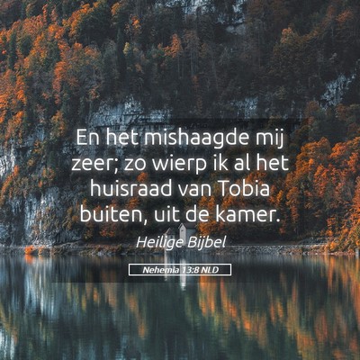 Picture 05 - Nehemia 13:8 NLD - En het mishaagde mij zeer; zo wierp ik al het - Bible Verse Picture