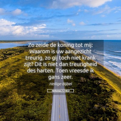 Picture 05 - Nehemia 2:2 NLD - Zo zeide de koning tot mij: Waarom is uw - Bible Verse Picture