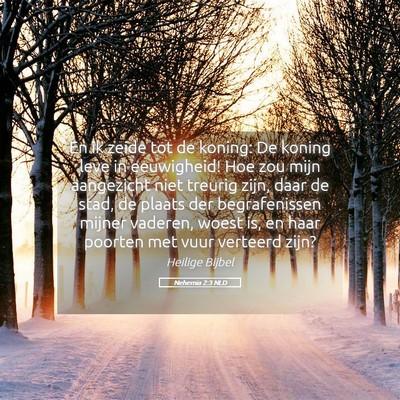 Picture 05 - Nehemia 2:3 NLD - En ik zeide tot de koning: De koning leve in - Bible Verse Picture