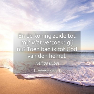 Picture 05 - Nehemia 2:4 NLD - En de koning zeide tot mij: Wat verzoekt gij nu? - Bible Verse Picture