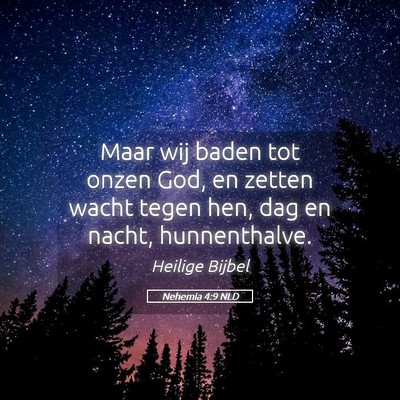 Picture 05 - Nehemia 4:9 NLD - Maar wij baden tot onzen God, en zetten wacht - Bible Verse Picture