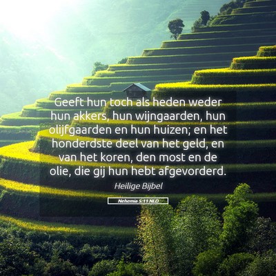 Picture 05 - Nehemia 5:11 NLD - Geeft hun toch als heden weder hun akkers, hun - Bible Verse Picture