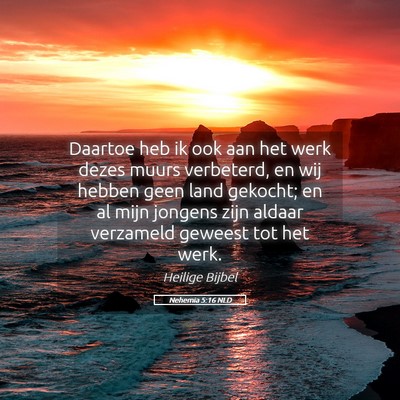 Picture 05 - Nehemia 5:16 NLD - Daartoe heb ik ook aan het werk dezes muurs - Bible Verse Picture