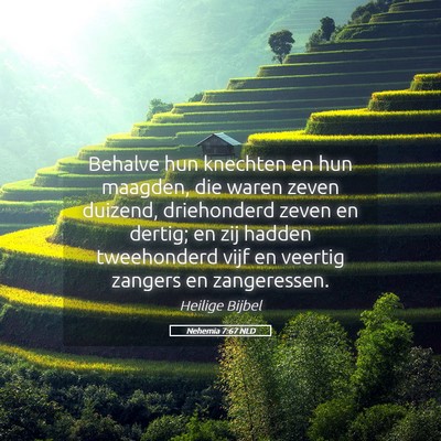 Picture 05 - Nehemia 7:67 NLD - Behalve hun knechten en hun maagden, die waren - Bible Verse Picture