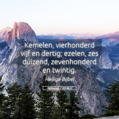 Picture 05 - Nehemia 7:69 NLD - Kemelen, vierhonderd vijf en dertig; ezelen, zes - Bible Verse Picture