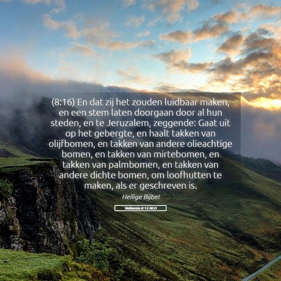 Picture 05 - Nehemia 8:15 NLD - (8:16) En dat zij het zouden luidbaar maken, en - Bible Verse Picture