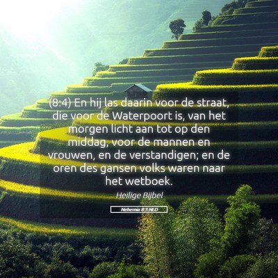 Picture 05 - Nehemia 8:3 NLD - (8:4) En hij las daarin voor de straat, die voor - Bible Verse Picture