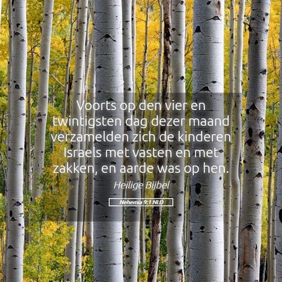 Picture 05 - Nehemia 9:1 NLD - Voorts op den vier en twintigsten dag dezer maand - Bible Verse Picture