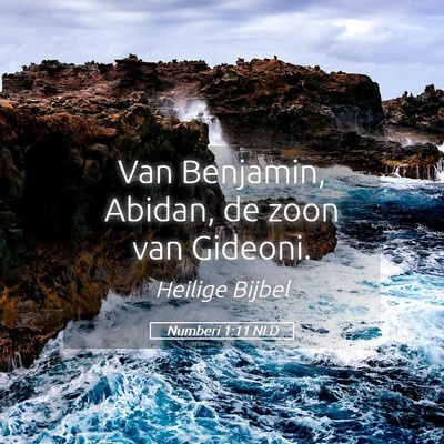 Picture 05 - Numberi 1:11 NLD - Van Benjamin, Abidan, de zoon van - Bible Verse Picture