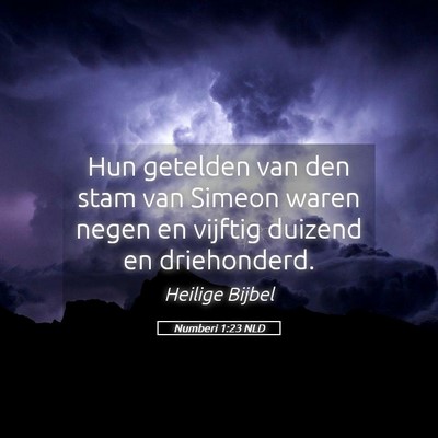Picture 05 - Numberi 1:23 NLD - Hun getelden van den stam van Simeon waren negen - Bible Verse Picture