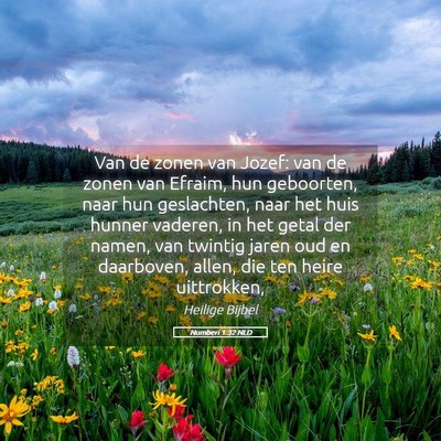 Picture 05 - Numberi 1:32 NLD - Van de zonen van Jozef: van de zonen van Efraim, - Bible Verse Picture