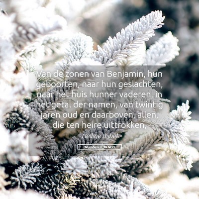 Picture 05 - Numberi 1:36 NLD - Van de zonen van Benjamin, hun geboorten, naar - Bible Verse Picture