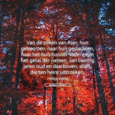 Picture 05 - Numberi 1:40 NLD - Van de zonen van Aser, hun geboorten, naar hun - Bible Verse Picture