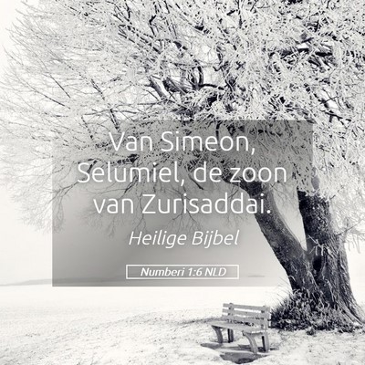 Picture 05 - Numberi 1:6 NLD - Van Simeon, Selumiel, de zoon van - Bible Verse Picture