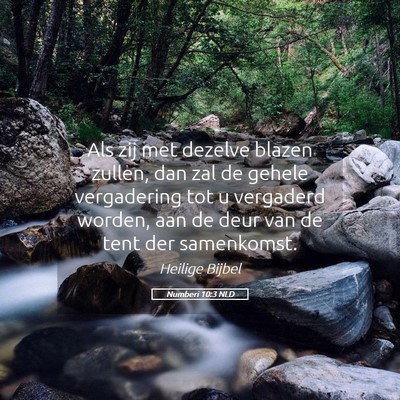 Picture 05 - Numberi 10:3 NLD - Als zij met dezelve blazen zullen, dan zal de - Bible Verse Picture