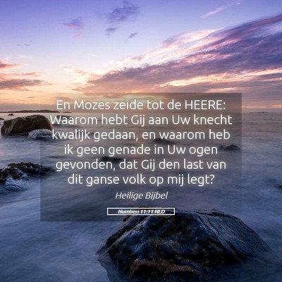 Picture 05 - Numberi 11:11 NLD - En Mozes zeide tot de HEERE: Waarom hebt Gij aan - Bible Verse Picture