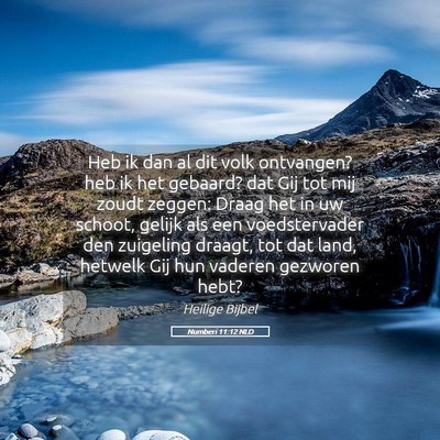 Picture 05 - Numberi 11:12 NLD - Heb ik dan al dit volk ontvangen? heb ik het - Bible Verse Picture