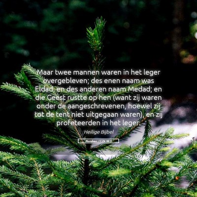 Picture 05 - Numberi 11:26 NLD - Maar twee mannen waren in het leger overgebleven; - Bible Verse Picture